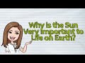 The Importance of Sunlight and Solar Energy