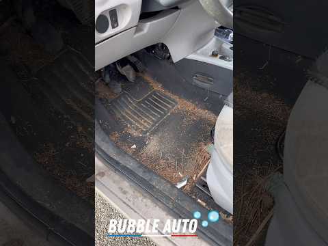 Nettoyage d’une voiture ou une personne âgé dort tous les jours dedans #nettoyageauto #detailing