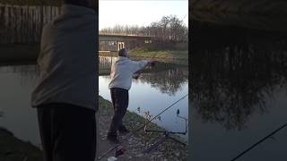 Il lancio perfetto...🤣🤣 #carpfishing #fishing