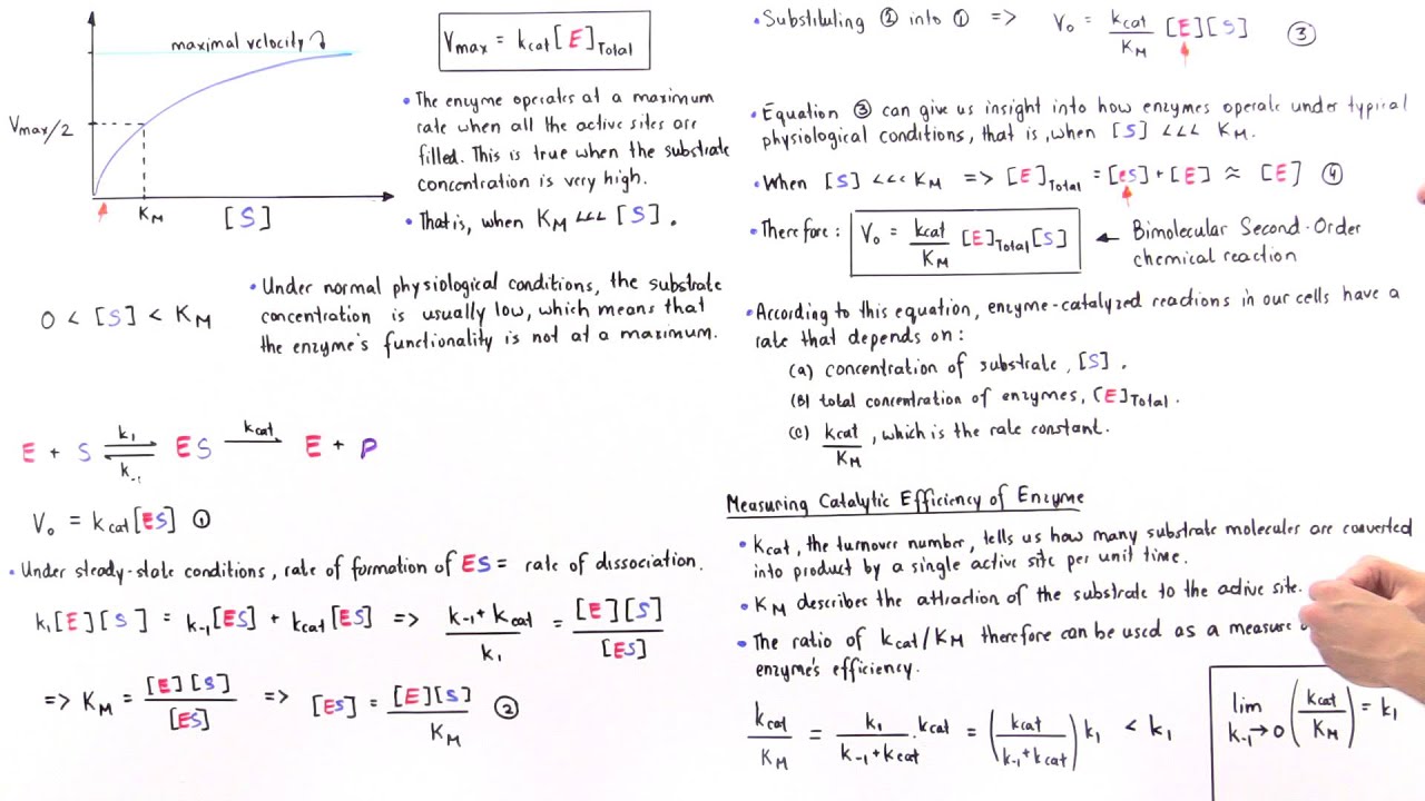 Ak Lectures Michaelis Menten Equation