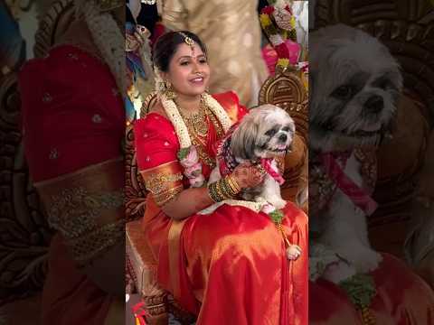 ಮುದ್ದಿನ ನಾಯಿ ಮರಿ ಜೊತೆ ಅನುಶ್ರೀ ಫೋಟೋ #anushree #anushreemarriage #wedding #anushreehuband