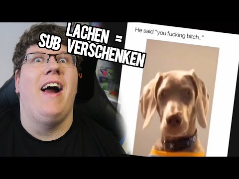 TIKTOKS GUCKEN ABER LACHEN = 1 SUB