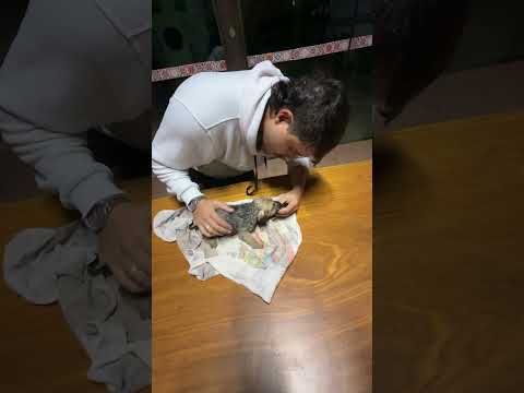 UM MILAGRE ACONTECEU AQUI