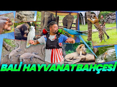 ENDONEZYA BALİDEN SELAMLAR !! HAYVANAT BAHÇESİ TURU