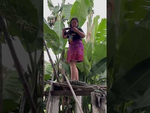 มันยาน #ตลก #ตลกฮาฮา #บ่าวอุดรสาวอุดร #เรื่องตลก #คนอิสาน #หนังสั้น #ตลกๆ #ตลกฮาๆ #อาหารอีสาน
