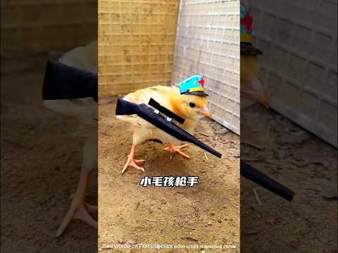 duck 🦆 Soldier 🪖~New Viral Gadgets,Smart Appliances, Kitchen Utensils/ HomeInventions #shorts