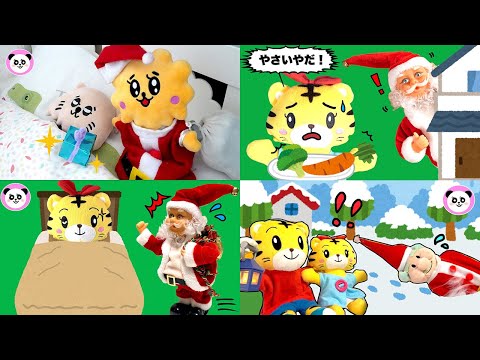 Poco Channel クリスマスまとめ動画 | ふわみーちゃん ふわた | しつけ 子育て 動画