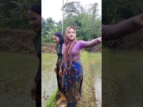 ইন্দোনেশিয়ার মেয়েরা মাঠে কি করছে !