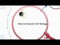 Effective Study Strategies for SAT Biology