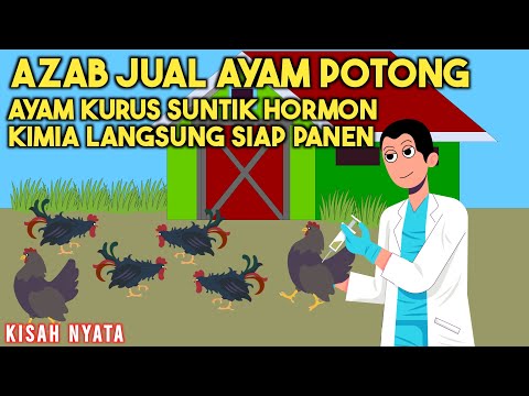 AZAB JUAL AYAM POTONG SUNTIK HORMON KIMIA PEMBESAR! SIPIRA EPISODE 32 | SINETRON AZAB