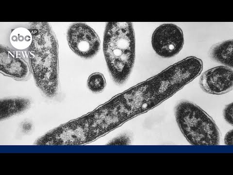 YouTube video thumbnail: What to Know About Legionnaires' Disease