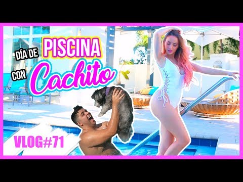 UNA PISTA MÁS DE LA GRAN SORPRESA! + REACCIÓN DE CACHITO EN LA PISCINA 14 Feb 2018