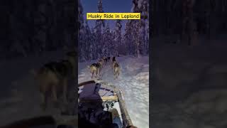 Husky Ride in Lapland #lapland #husky #germany #europe #travel #travelvlog #usa