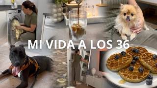 Así es mi vida con 36 años y sin hijos | Recetas fáciles y decoración de otoño🍂