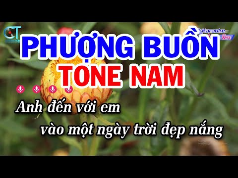 Karaoke Phượng Buồn Tone Nam ( F ) Nhạc Sống Beat Mới | Karaoke Đồng Sen