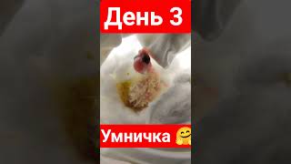 9 мая 2025 г.