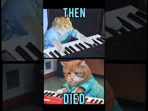 Famous Cats memes(Then vs Now) #meme #memes #nostalgia #catmemes