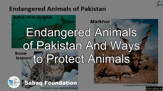 Endangered Animals of Pakistan And Ways to Protect Animals