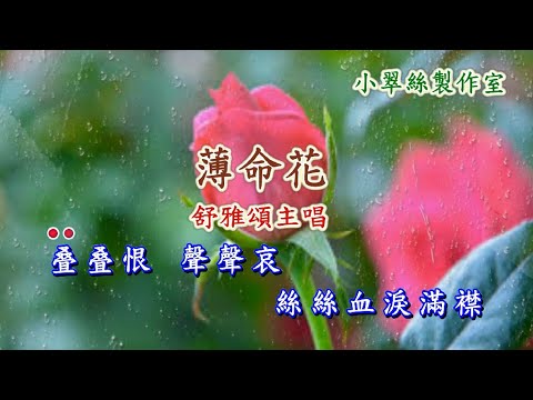 薄命花 – 舒雅頌主唱 (原曲 : 月落烏啼)