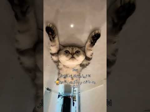 عبارات قصيره تصميم ستوريات استقرام اقتباسات وعشق_حالات واتس اب #عشق #حب #اكسبلور