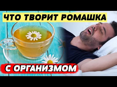 Ромашковый чай: тайны его воздействия на организм