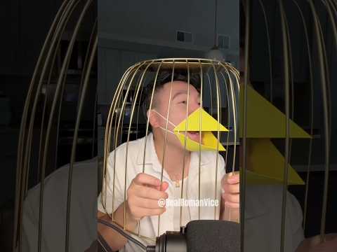 Northern vs Southern Asian Accents