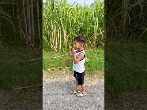 Aarush zombie ban gaya #shortsfeed #funny #youtubeshorts #comedy #shortsvideo #shorts #cute