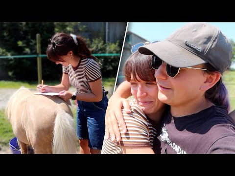 JE RÉALISE LE PLUS GRAND RÊVE DE COLINE ! (oui elle a acheté un poney cette folle)