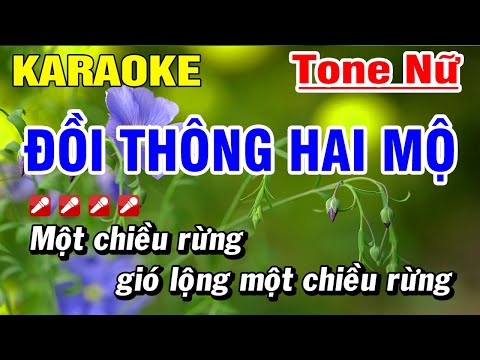 Đồi Thông Hai Mộ Karaoke Nhạc Sống TONE NỮ | Hoài Phong Organ