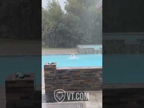 Dog Refuses to Come Inside During a Storm 😂🐶🌧️