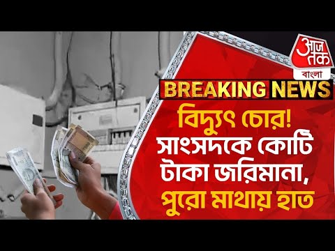 Breaking: বিদ্য়ুৎ চোর! সাংসদকে কোটি টাকা জরিমানা, পুরো মাথায় হাত | Electricity | Ziaur Rehman | NN