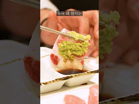 왜 살아있는 참치는 볼 수 없는 걸까?