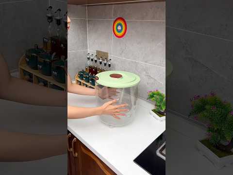 Grain Keeper 🤩| New Viral Gadgets, Smart Appliances, Kitchen Utensils/ Home Inventions #shorts