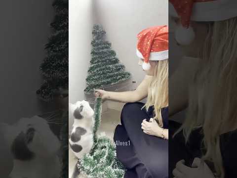 Diy Árvore de Natal de Parede Fácil! Parte 3