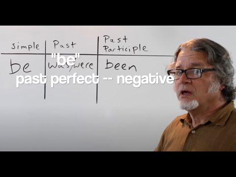 "be" past perfect -- negative