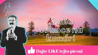 Robo Kazík - Sedia vrabce na konári