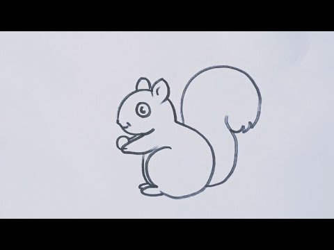 How to draw a Squirrel 🐿️ step by step / Squirrel outline drawing tutorial video / animal drawing