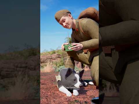 The Failed Dog Bomb Experiment! 😮