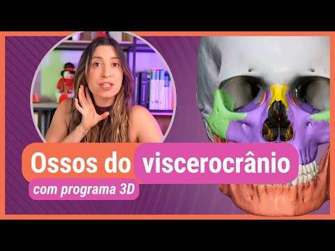 OSSOS DO VISCEROCRÂNIO! Com programa 3D