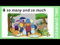 Understanding 'So Many' and 'So Much'