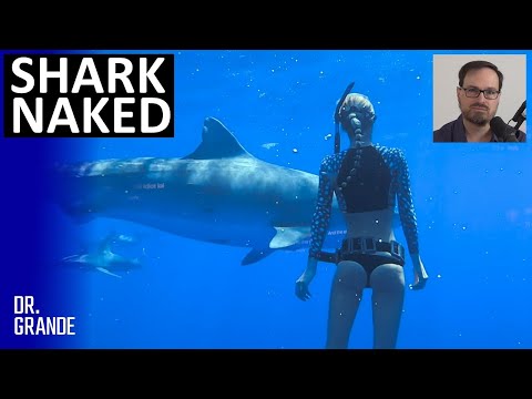 'Shark Whisperer' Wields Posterior Power and Angers Actual Scientists | Ocean Ramsey Case Analysis