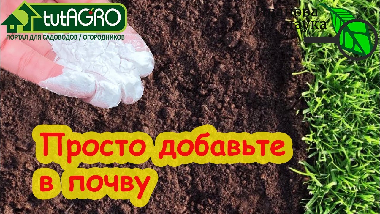 Этим порошком удобрите весь сад и огород! Эта подкормка творит чудеса! Как лучше вносить кальций.