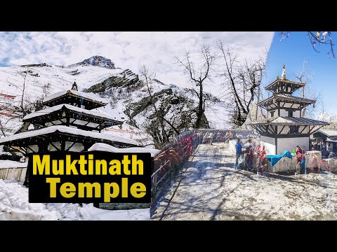 "Sacred Muktinath Temple: A Spiritual Haven" "Discover the Divine Beauty of Muktinath Temple"