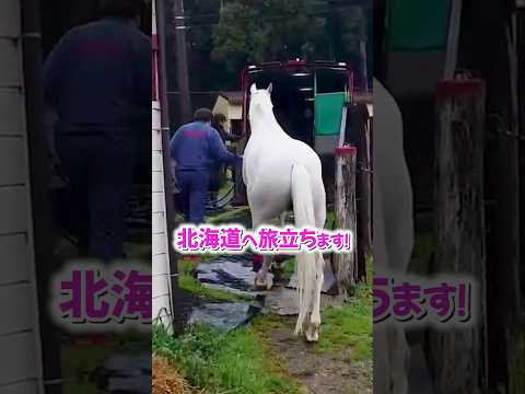 みんなの思い届いています…😢