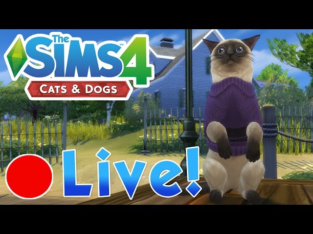 Sims 4: Cats & Dogs • Romancing Mayor Whiskers?! • Finished Stream!