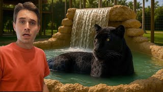 This Backyard WATERFALL Was Built for JAGUARS!