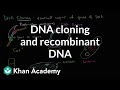 Exploring DNA Cloning and Recombinant Techniques
