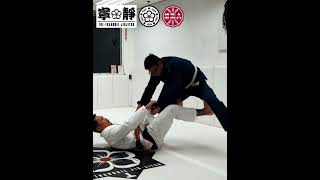 3 個不同拿背路徑嘅 DLR (Delariva) Take Back。