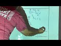 Special Right Triangles Problems