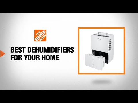 Best Dehumidifiers for Your Home